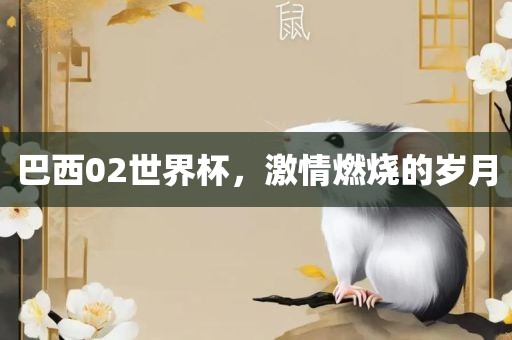 巴西02世界杯，激情燃烧的岁月