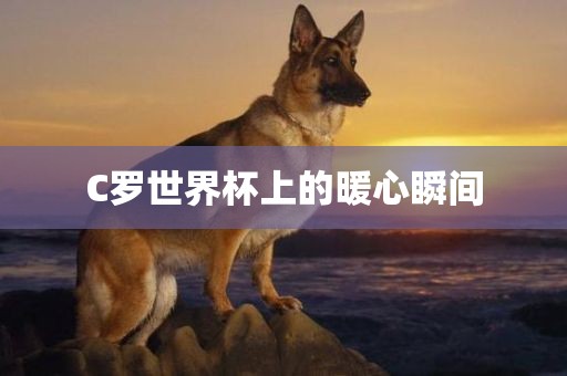 C罗世界杯上的暖心瞬间