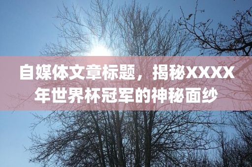 自媒体文章标题，揭秘XXXX年世界杯冠军的神秘面纱