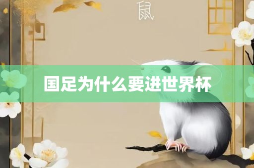 国足为什么要进世界杯