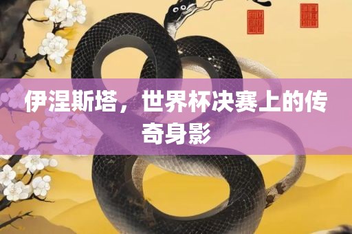 伊涅斯塔，世界杯决赛上的传奇身影