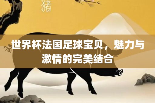 世界杯法国足球宝贝，魅力与激情的完美结合