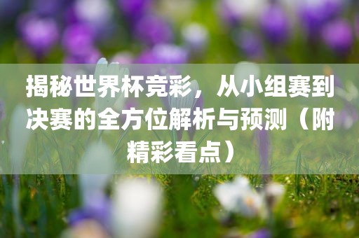 揭秘世界杯竞彩，从小组赛到决赛的全方位解析与预测（附精彩看点）