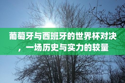 葡萄牙与西班牙的世界杯对决，一场历史与实力的较量