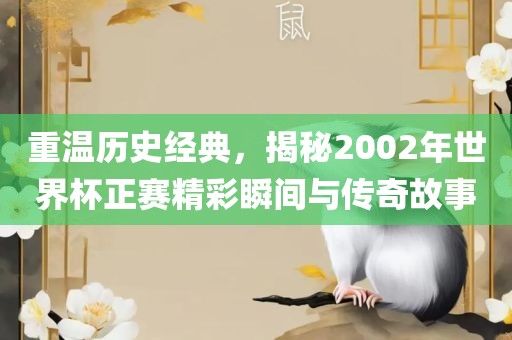 重温历史经典，揭秘2002年世界杯正赛精彩瞬间与传奇故事