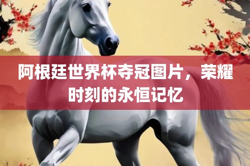 阿根廷世界杯夺冠图片，荣耀时刻的永恒记忆