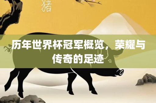 历年世界杯冠军概览，荣耀与传奇的足迹