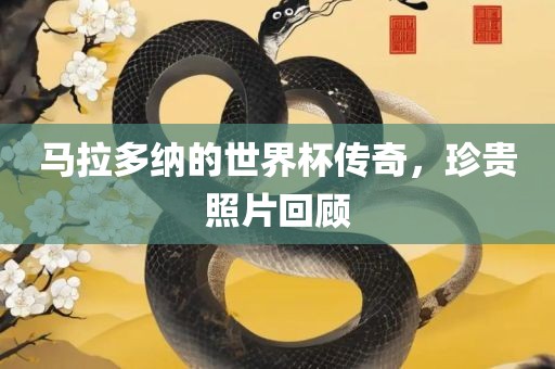 马拉多纳的世界杯传奇，珍贵照片回顾