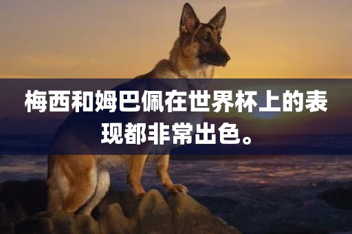 梅西和姆巴佩在世界杯上的表现都非常出色。