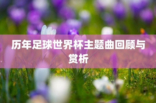 历年足球世界杯主题曲回顾与赏析