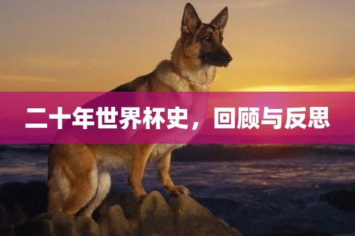 二十年世界杯史，回顾与反思