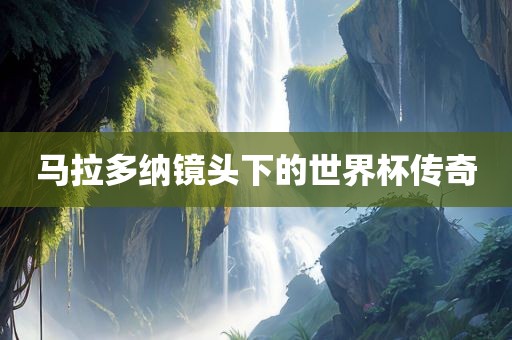 马拉多纳镜头下的世界杯传奇