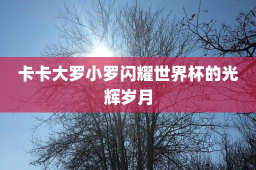 卡卡大罗小罗闪耀世界杯的光辉岁月