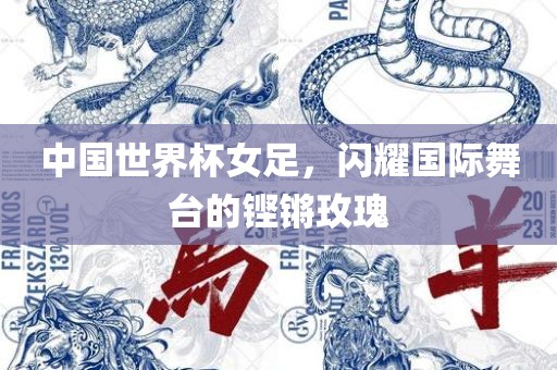 中国世界杯女足，闪耀国际舞台的铿锵玫瑰