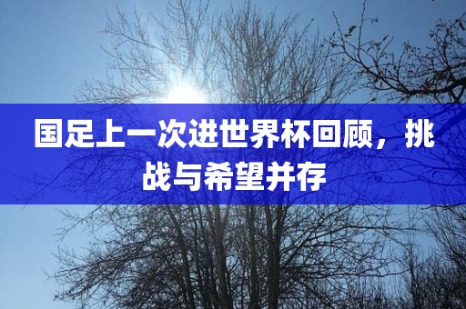国足上一次进世界杯回顾，挑战与希望并存