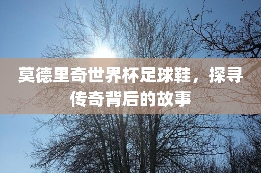 莫德里奇世界杯足球鞋，探寻传奇背后的故事