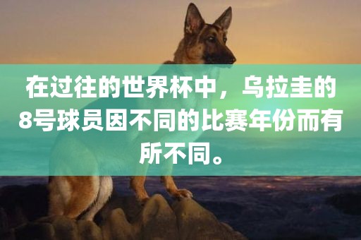 在过往的世界杯中，乌拉圭的8号球员因不同的比赛年份而有所不同。