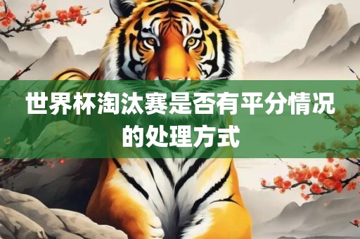 世界杯淘汰赛是否有平分情况的处理方式