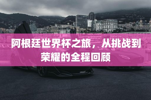 阿根廷世界杯之旅，从挑战到荣耀的全程回顾