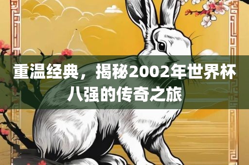 重温经典，揭秘2002年世界杯八强的传奇之旅