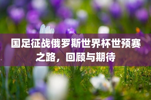 国足征战俄罗斯世界杯世预赛之路，回顾与期待