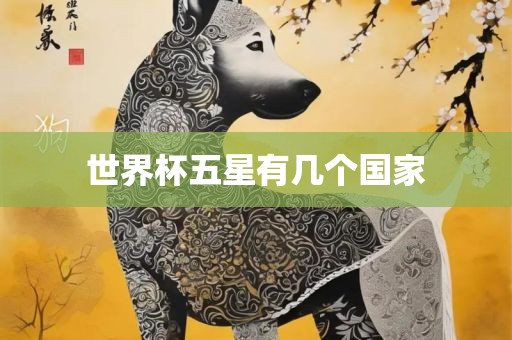 世界杯五星有几个国家