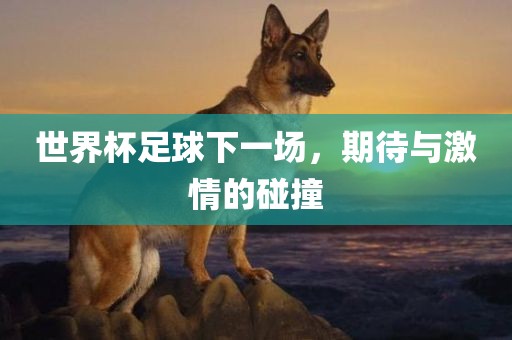 世界杯足球下一场，期待与激情的碰撞