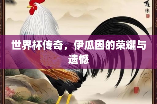 世界杯传奇，伊瓜因的荣耀与遗憾