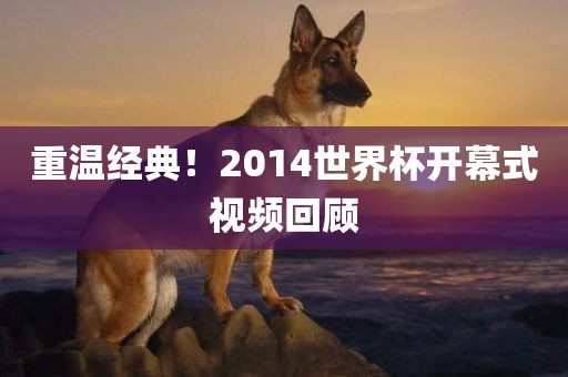 重温经典！2014世界杯开幕式视频回顾