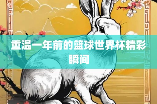 重温一年前的篮球世界杯精彩瞬间
