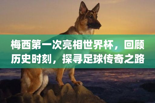 梅西第一次亮相世界杯，回顾历史时刻，探寻足球传奇之路