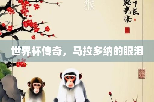 世界杯传奇，马拉多纳的眼泪