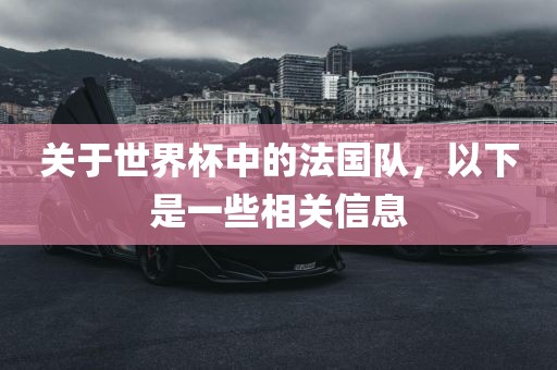 关于世界杯中的法国队，以下是一些相关信息