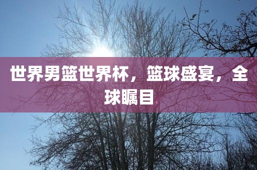 世界男篮世界杯，篮球盛宴，全球瞩目