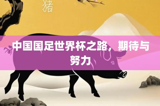 中国国足世界杯之路，期待与努力