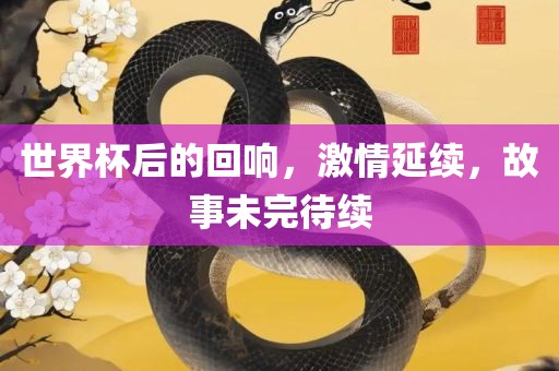 世界杯后的回响，激情延续，故事未完待续