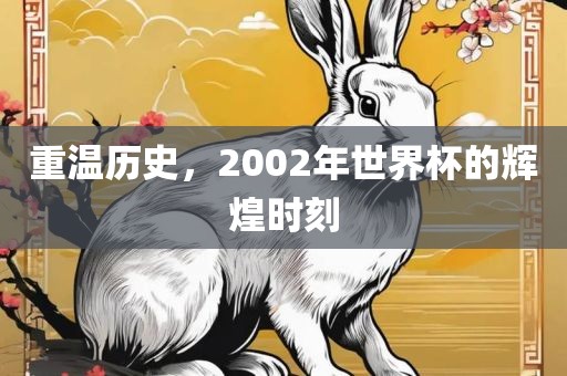 重温历史，2002年世界杯的辉煌时刻