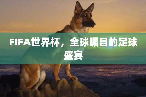 FIFA世界杯，全球瞩目的足球盛宴