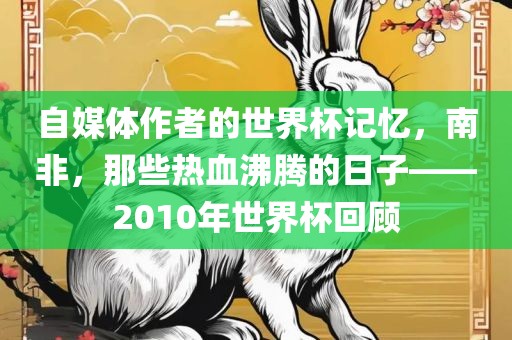 自媒体作者的世界杯记忆，南非，那些热血沸腾的日子——2010年世界杯回顾