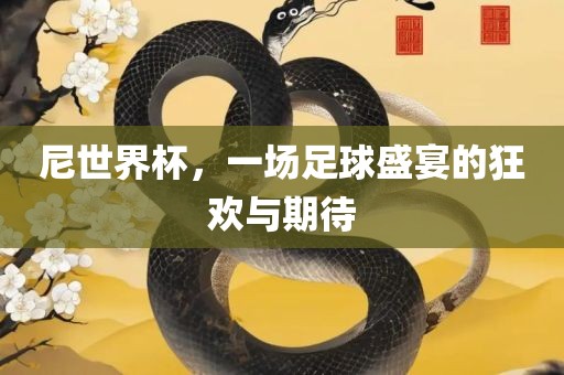 尼世界杯，一场足球盛宴的狂欢与期待