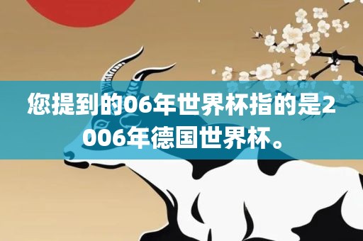 您提到的06年世界杯指的是2006年德国世界杯。
