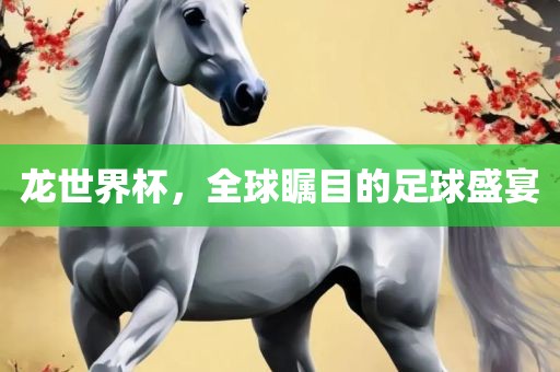 龙世界杯，全球瞩目的足球盛宴