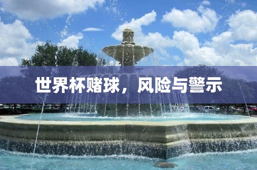 世界杯赌球，风险与警示