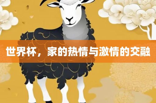 世界杯，家的热情与激情的交融
