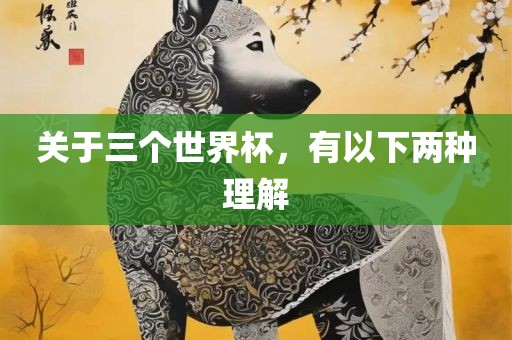 关于三个世界杯，有以下两种理解