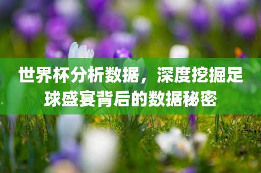 世界杯分析数据，深度挖掘足球盛宴背后的数据秘密