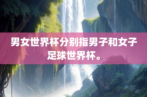 男女世界杯分别指男子和女子足球世界杯。