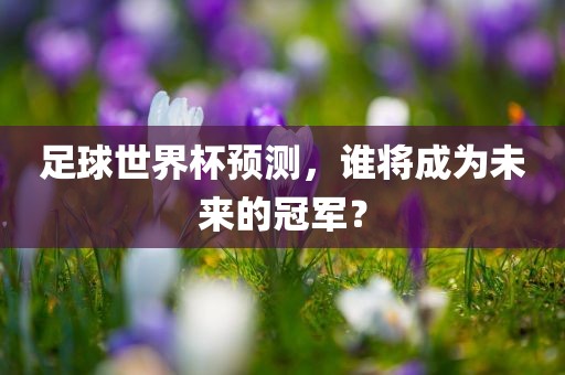 足球世界杯预测，谁将成为未来的冠军？