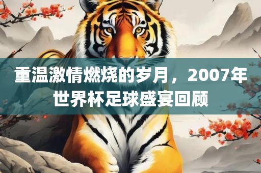 重温激情燃烧的岁月，2007年世界杯足球盛宴回顾
