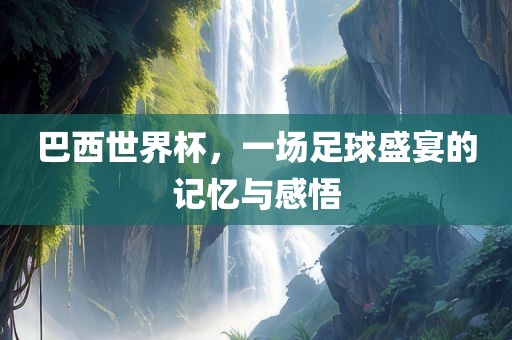 巴西世界杯，一场足球盛宴的记忆与感悟